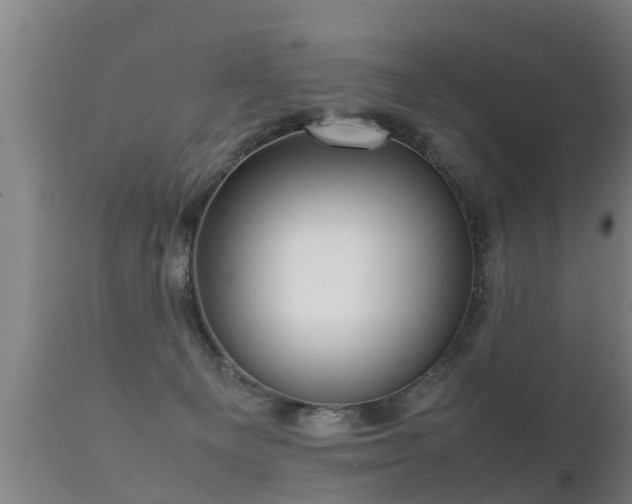 X0000112090129200908111403