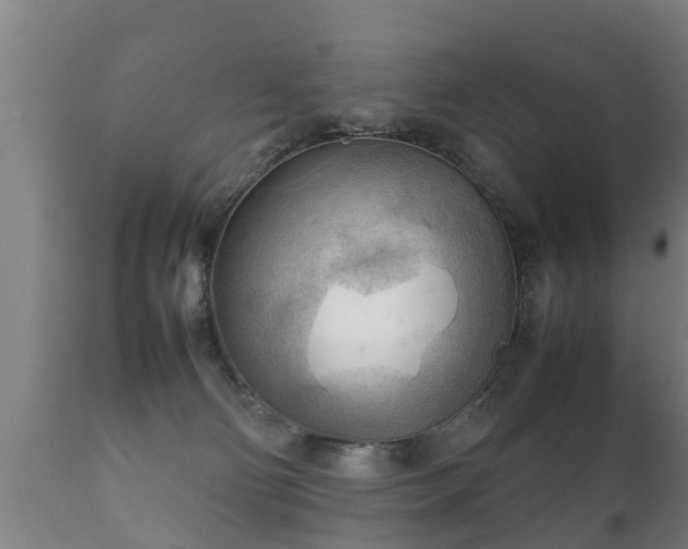 X0000112090130200908111403