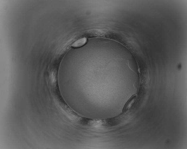 X0000112090131200908111403