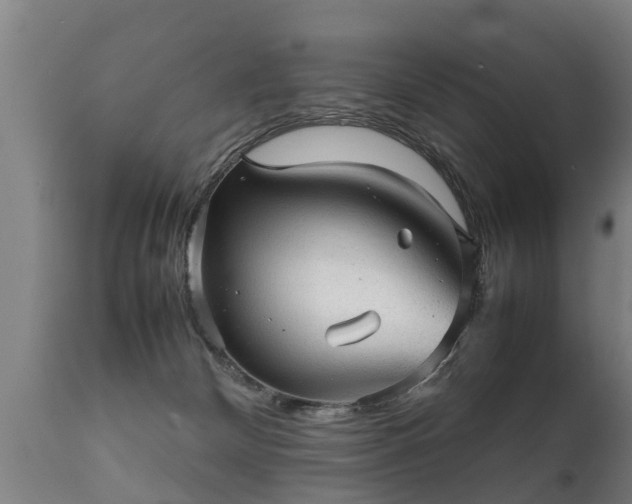 X0000112090132200908111403