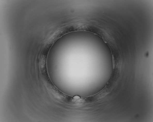 X0000112090133200908111403