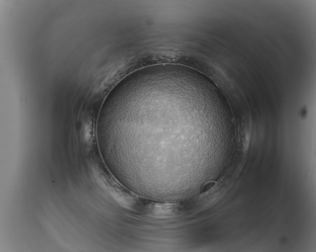 X0000112090134200908111403