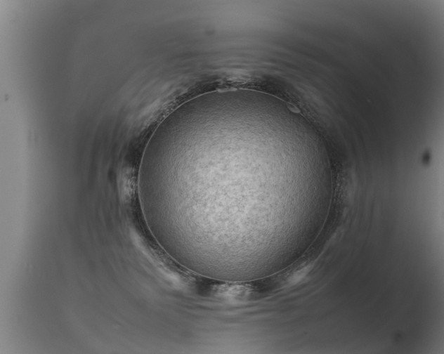 X0000112090135200908111403