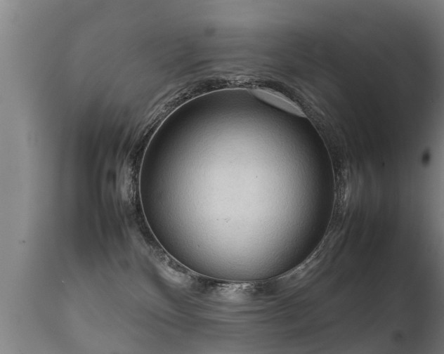 X0000112090136200908111403