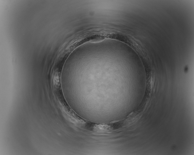 X0000112090137200908111403