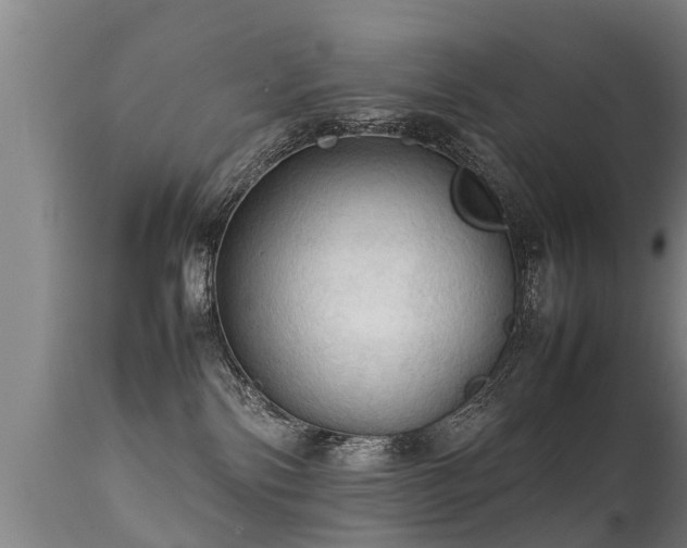 X0000112090138200908111403