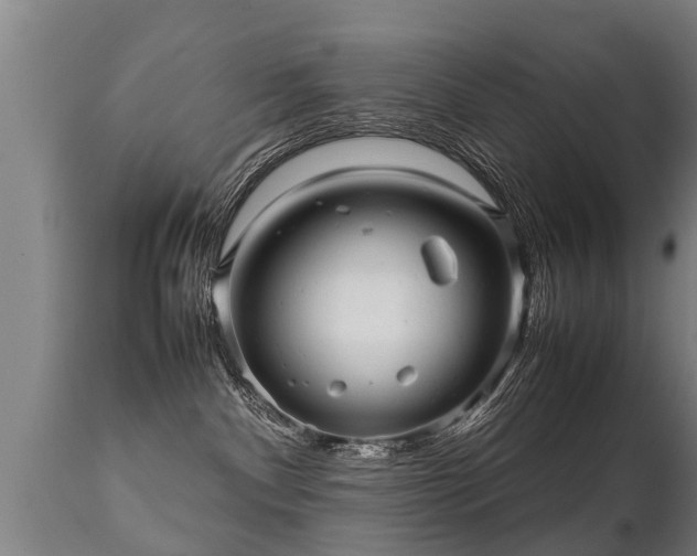 X0000112090140200908111403