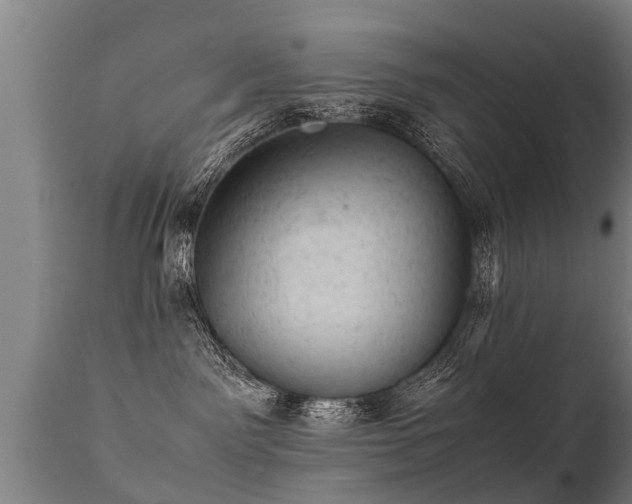 X0000112090141200908111403