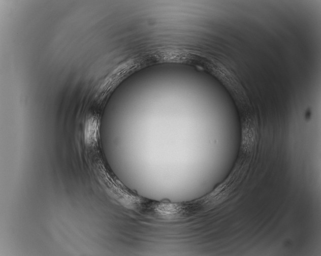 X0000112090142200908111403