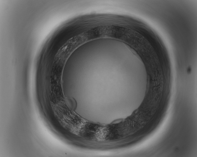 X0000112090143200908111403