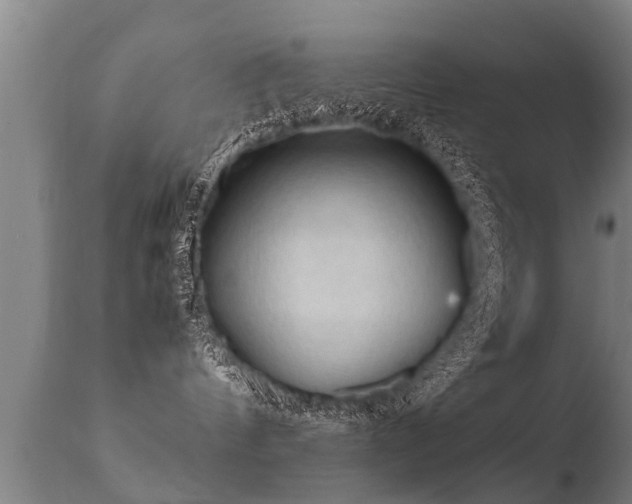 X0000112090144200908111403