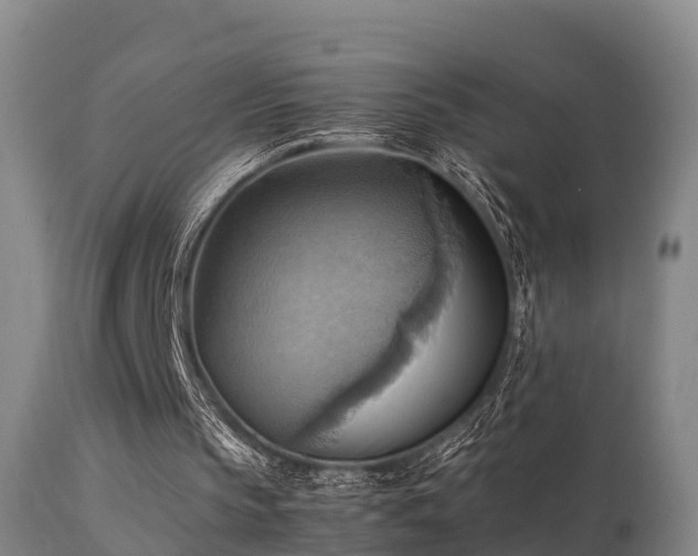 X0000112090145200908111402