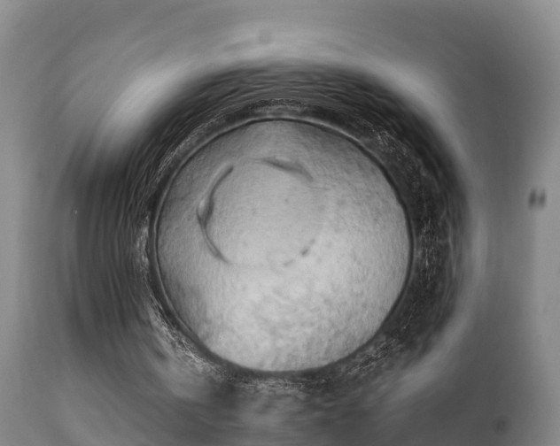 X0000112090146200908111402