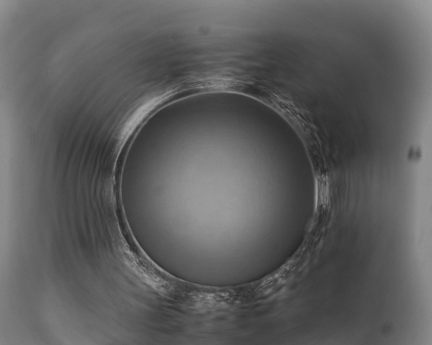 X0000112090147200908111402