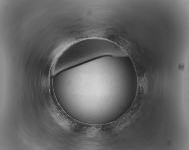 X0000112090148200908111402