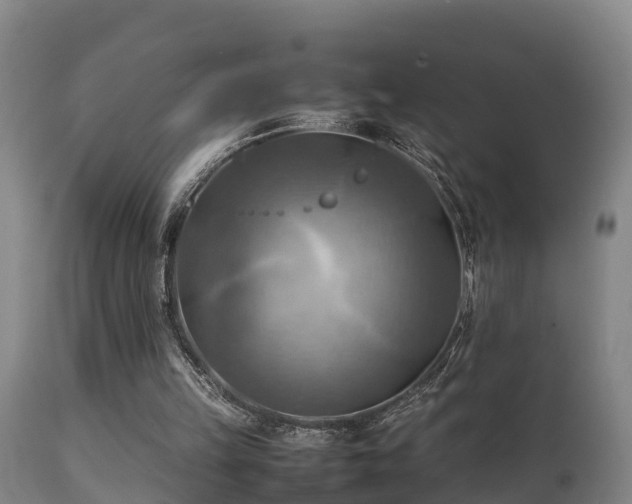 X0000112090149200908111402