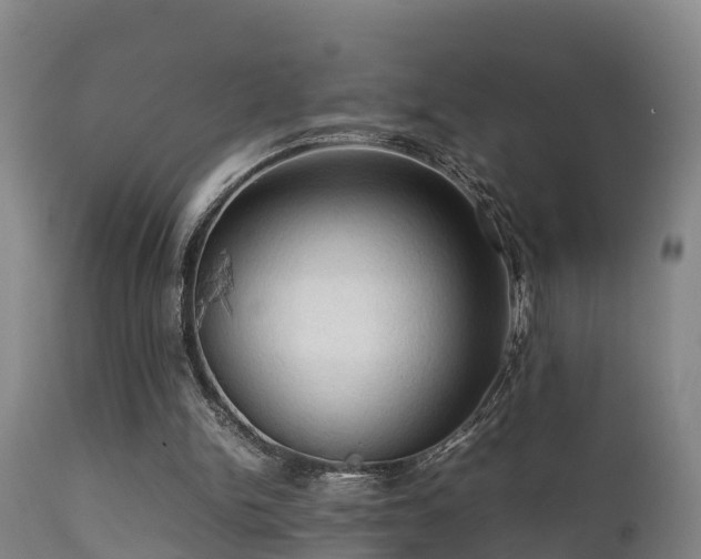 X0000112090150200908111402