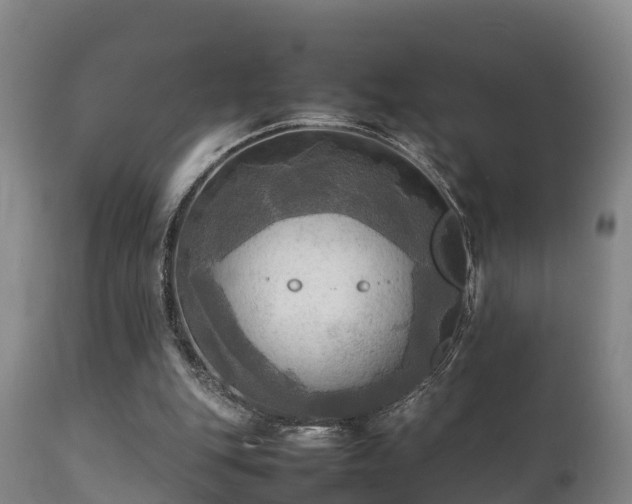 X0000112090151200908111402