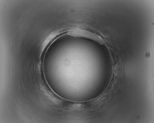 X0000112090152200908111402