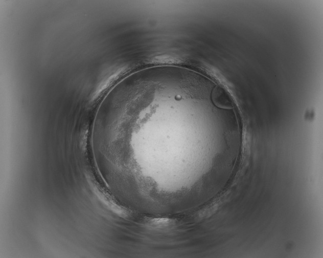 X0000112090153200908111402