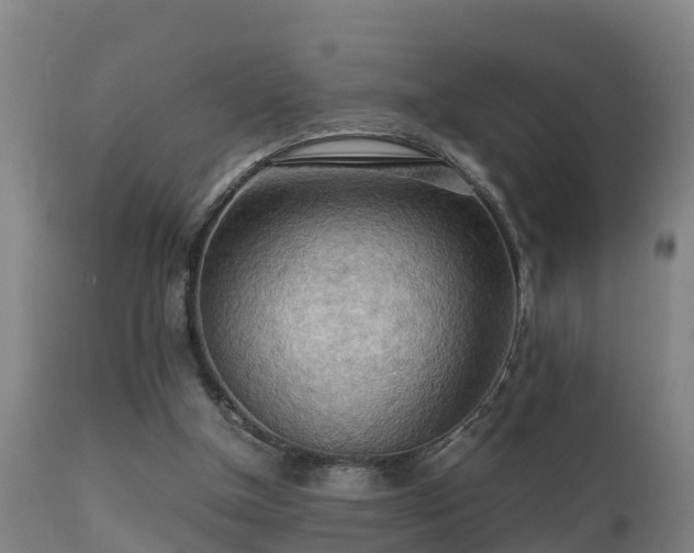 X0000112090154200908111402