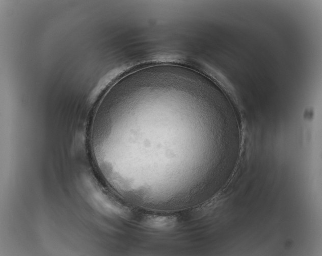 X0000112090155200908111402