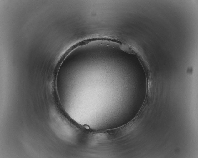 X0000112090156200908111402