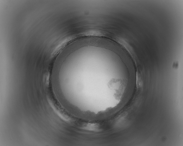 X0000112090157200908111402