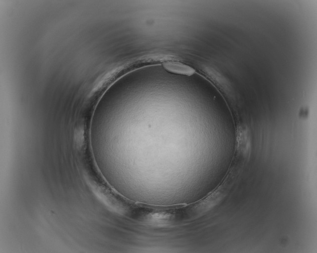 X0000112090158200908111402