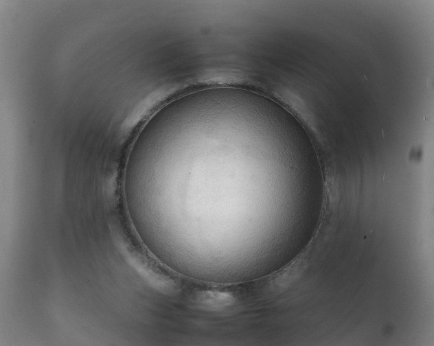 X0000112090159200908111402