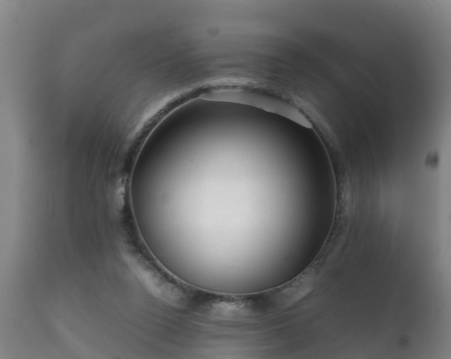 X0000112090160200908111402