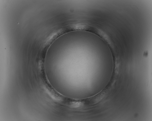 X0000112090161200908111402