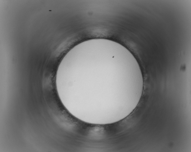 X0000112090162200908111402