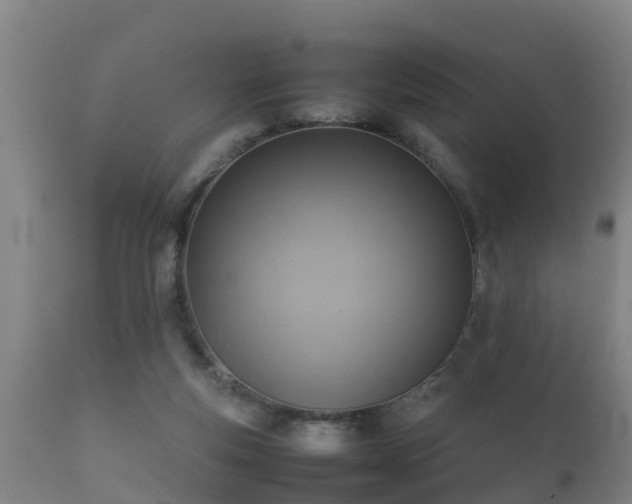 X0000112090163200908111402