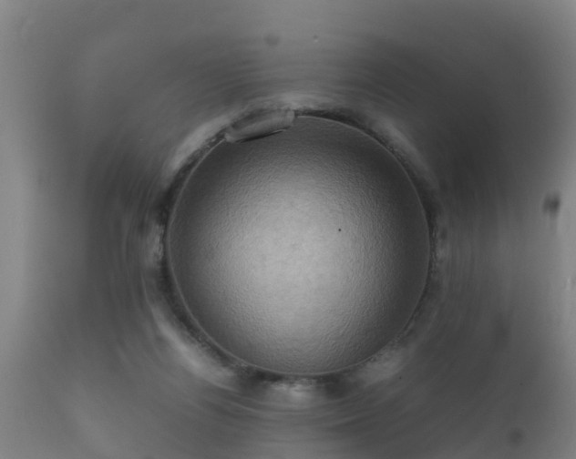 X0000112090164200908111402