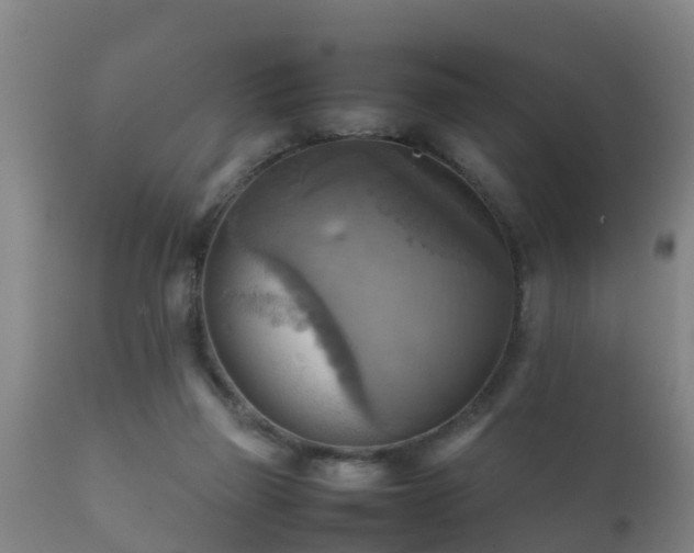 X0000112090165200908111402