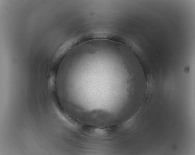 X0000112090166200908111402