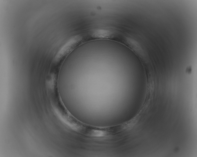 X0000112090167200908111402