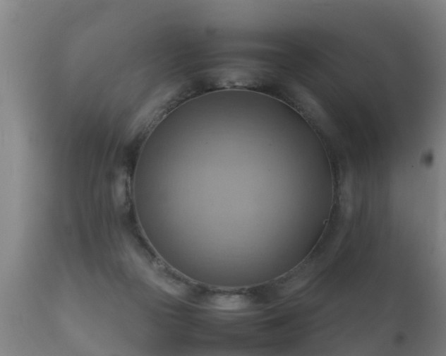 X0000112090169200908111402