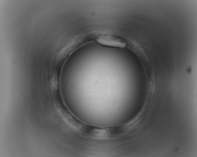 X0000112090170200908111402