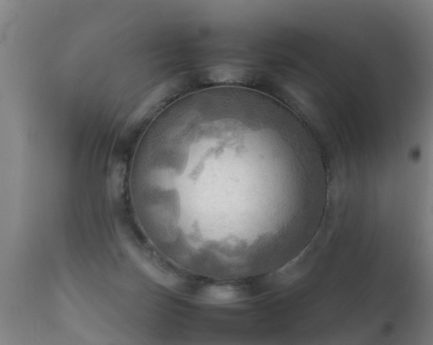 X0000112090171200908111402