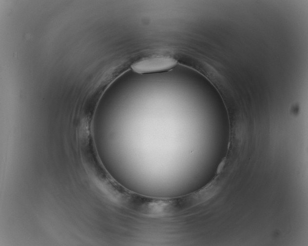 X0000112090172200908111402