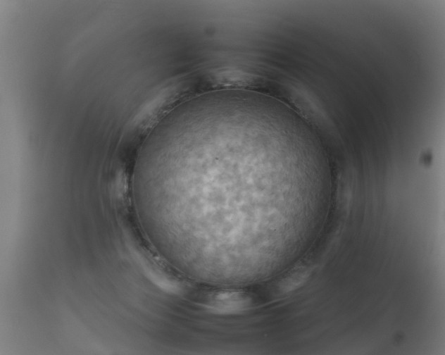 X0000112090173200908111402