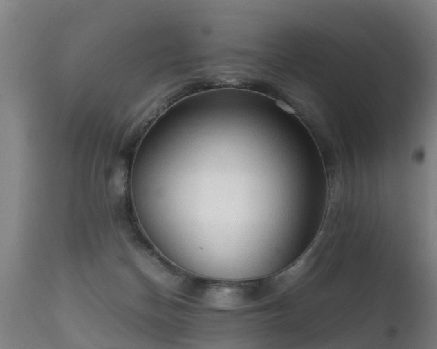 X0000112090174200908111402