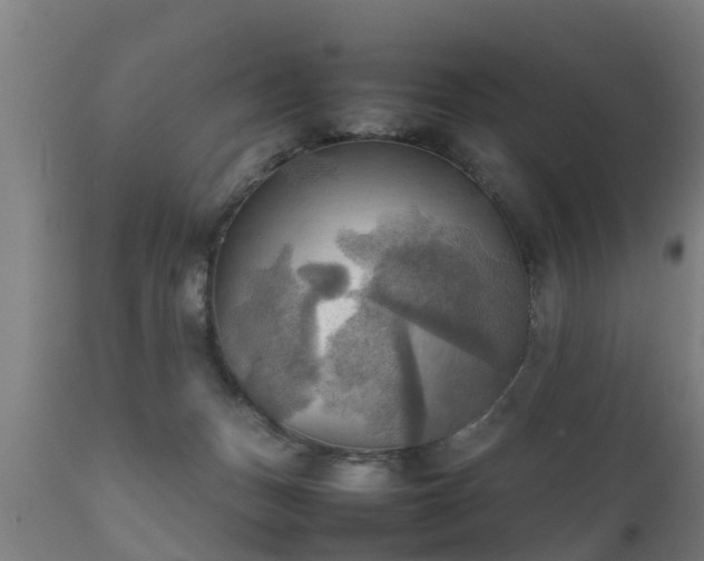 X0000112090175200908111403