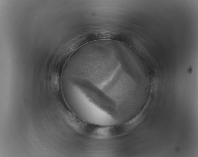 X0000112090178200908111403