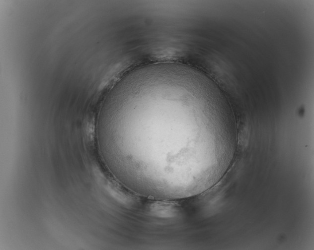 X0000112090179200908111403