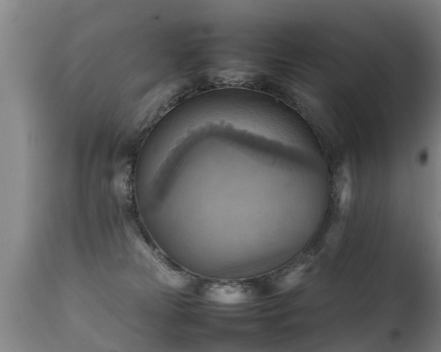 X0000112090181200908111403