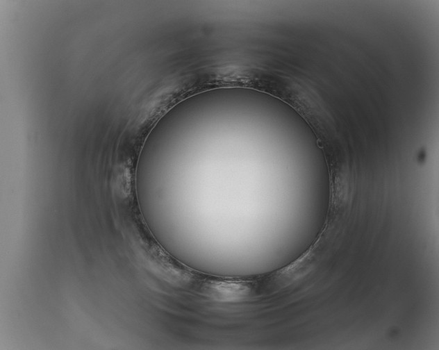 X0000112090183200908111403