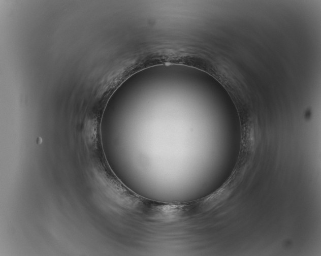 X0000112090184200908111403